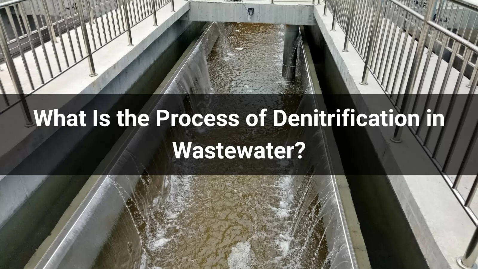 What Is the Process of Denitrification in Wastewater